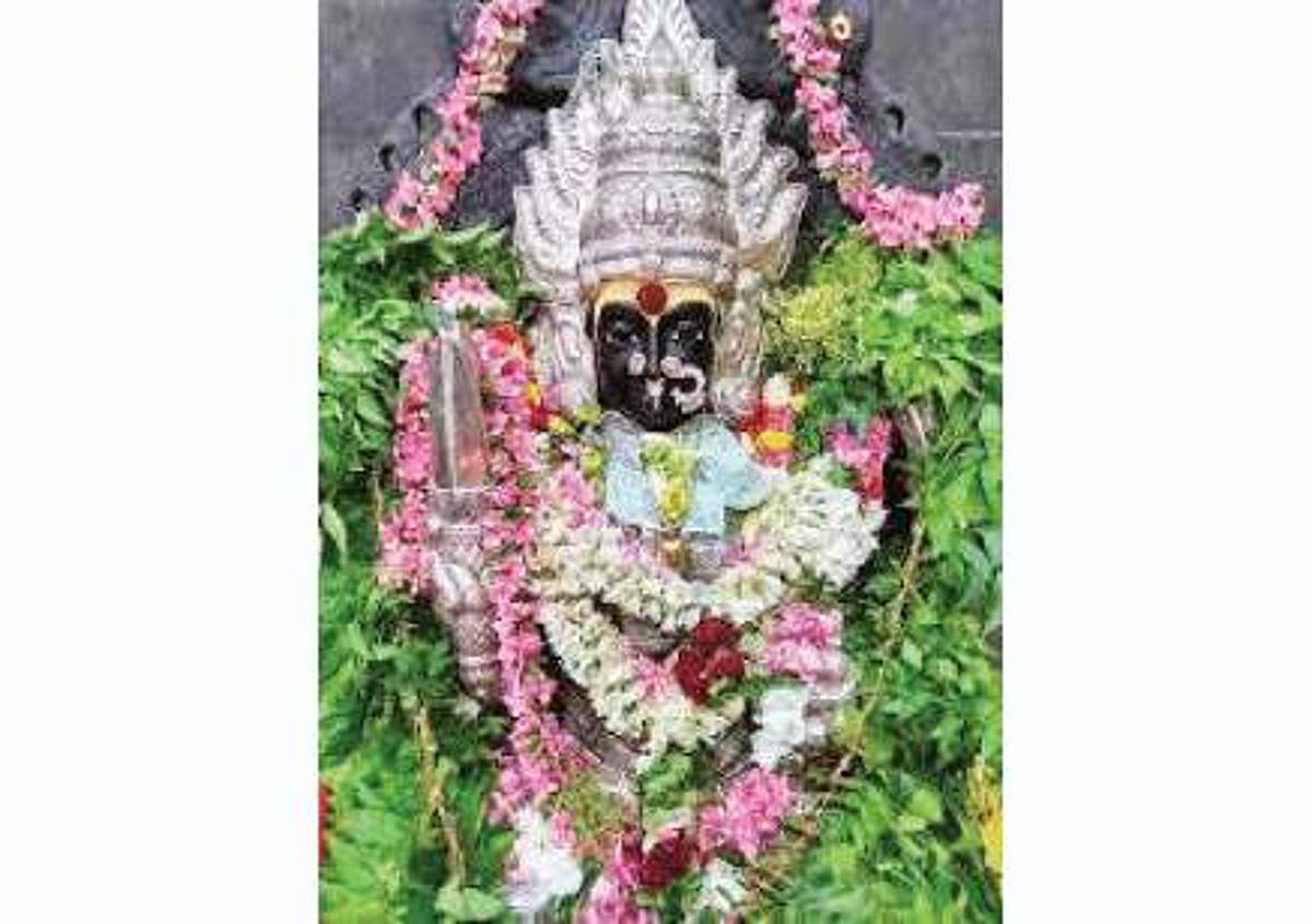 தெய்வீக மரமான தேவ மங்கை