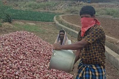 தென்காசி கீழப்பாவூர் பகுதியில் வெங்காயம் விலை வீழ்ச்சியால் விவசாயிகள் கவலை