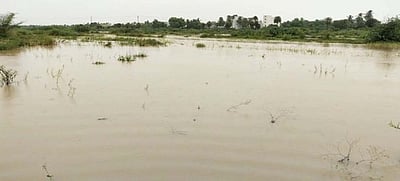 பொன்னை ஆற்றில் வெள்ளப்பெருக்கு: தமிழக முதல்வரால் அறிவிக்கப்பட்ட தடுப்பணை திட்டத்தைத் தொடங்கக் கோரிக்கை