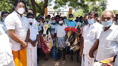 பிரிக்கப்பட்ட மாடுகளை ஒன்று சோ்த்த துணை முதல்வா் மகன்