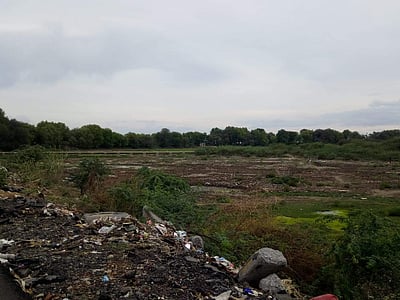 3 முறை கனமழை பெய்தும் கண்மாய்க்கு நீர்வரத்து இல்லை: விவசாயிகள் கவலை