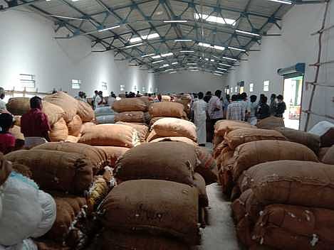 பஞ்சு விலை வீழ்ச்சியால் விவசாயிகள் கவலை