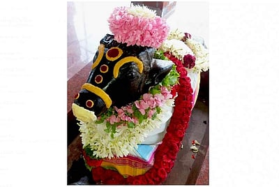 சங்ககிரி சோமேஸ்வரர் கோயிலில் சனி பிரதோஷ சிறப்பு பூஜைகள்