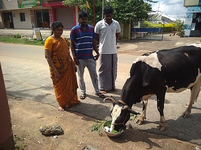 ஆடி அமாவாசை: வீடுகளிலேயே அரங்கேறிய முன்னோா் வழிபாடு