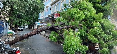 காரைக்காலில் மழை: பொதுமக்கள் மகிழ்ச்சி