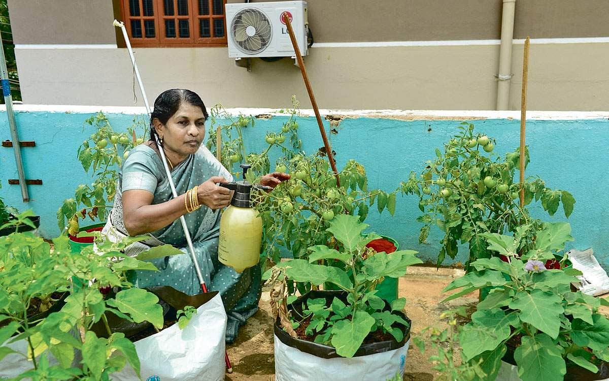 நம்பிக்கை ஒளியை விதைக்கும் பெண்!