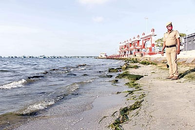 ஆடி அமாவாசை: பக்தர்கள் இன்றி வெறிச்சோடி காணப்படும் ராமேசுவரம் அக்னி தீர்த்த கடல் 