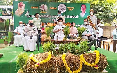 நம்பிக்கை அளித்த "நெல் திருவிழா'