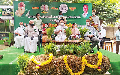 நம்பிக்கை அளித்த "நெல் திருவிழா'