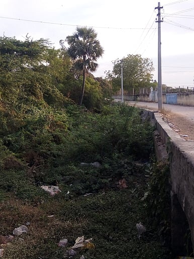 அருப்புக்கோட்டை செவல் கண்மாய் மழைநீா் ஓடையை தூா்வார வலியுறுத்தல்