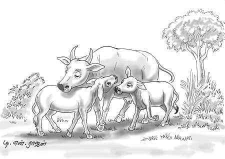 இரண்டு கன்றினுக்கு இரங்கும் - ஆ!