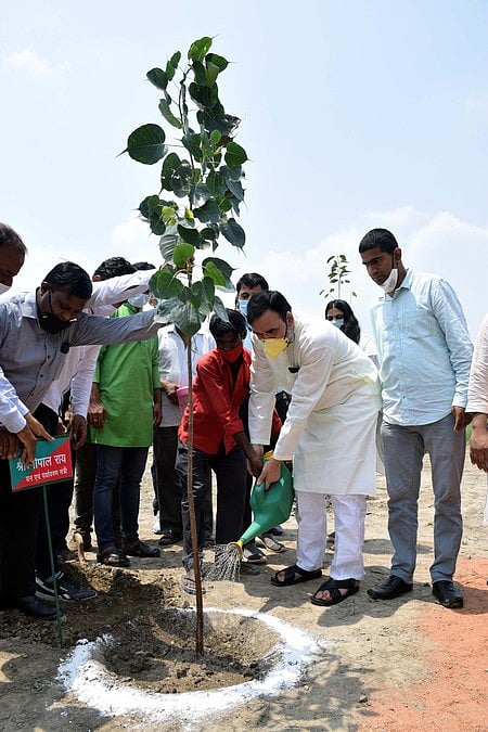 17 நாள்களில் 8.5 லட்சம் மரக்கன்றுகள் நட்டு சாதனை