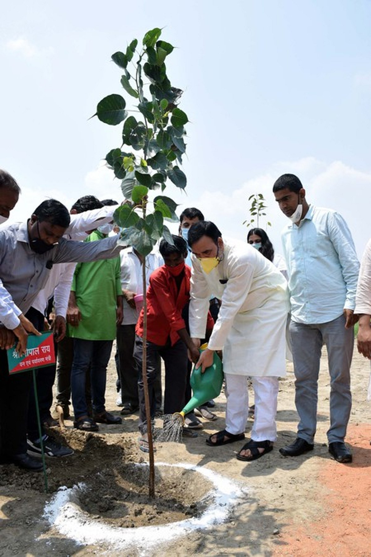 17 நாள்களில் 8.5 லட்சம் மரக்கன்றுகள் நட்டு சாதனை