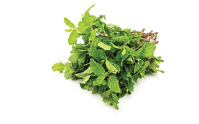 புதினாவின் பயன்கள்!