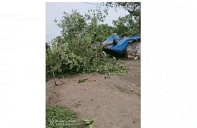 வேதாரண்யம் அருகே சூறைக்காற்றுடன் மழை