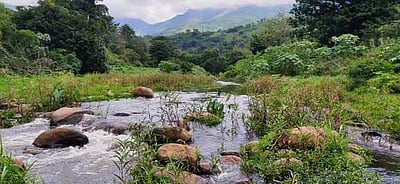 கொடைக்கானல் பகுதிகளில் பலத்த மழை