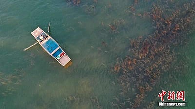 சீனாவில் மிகப் பெரிய ஏரியில் மீன் பிடிப்பு விழா