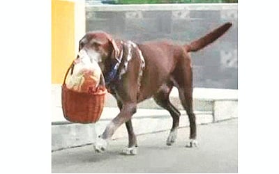 கருவூலம்: ஈராஸ்!