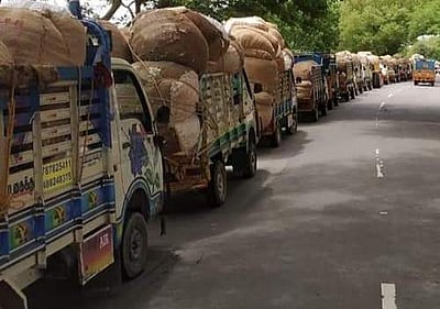 பருத்திக்கு விலை நிர்ணயித்து, அரசே கொள்முதல் செய்ய வேண்டும்:  விவசாயிகள் கோரிக்கை