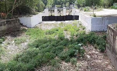 கடைமடைக்கு வராத காவிரி நீர்: பொதுப்பணித்துறையே காரணம் என விவசாயிகள் குற்றச்சாட்டு