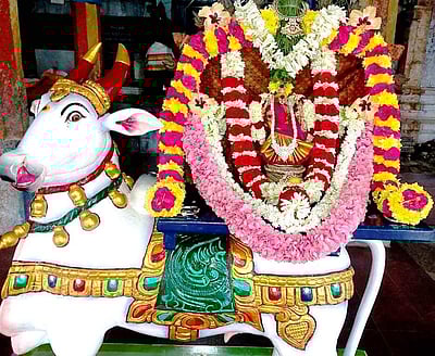 சங்ககிரி சோமேஸ்வரர் கோயிலில் சனி  பிரதோஷ சிறப்பு பூஜைகள்