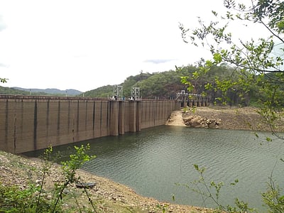 நெல்லை, தென்காசியில் நிரம்பி வரும் அணைகள்: 100 அடியை நெருங்கும் பாபநாசம் 