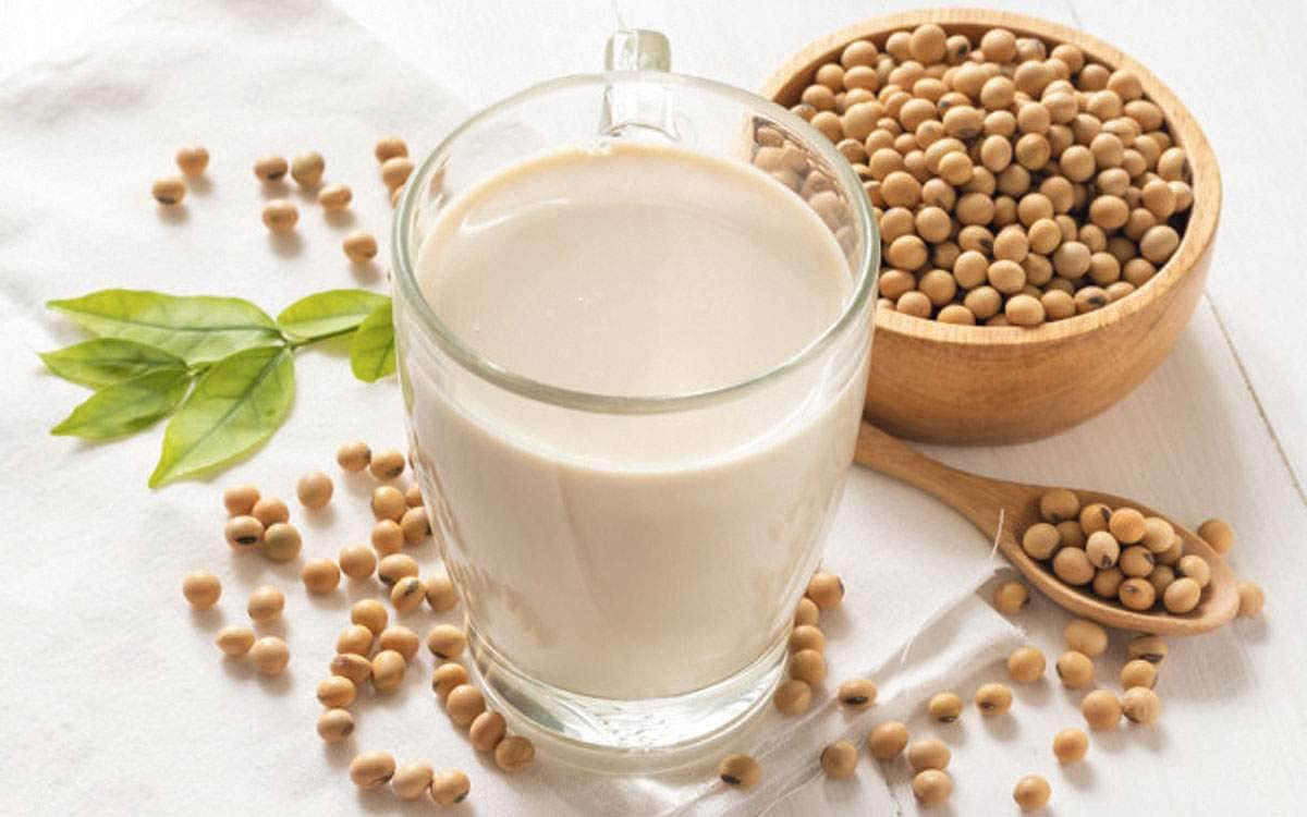 பசும்பாலுக்கு இணையான பிற பால்கள்!