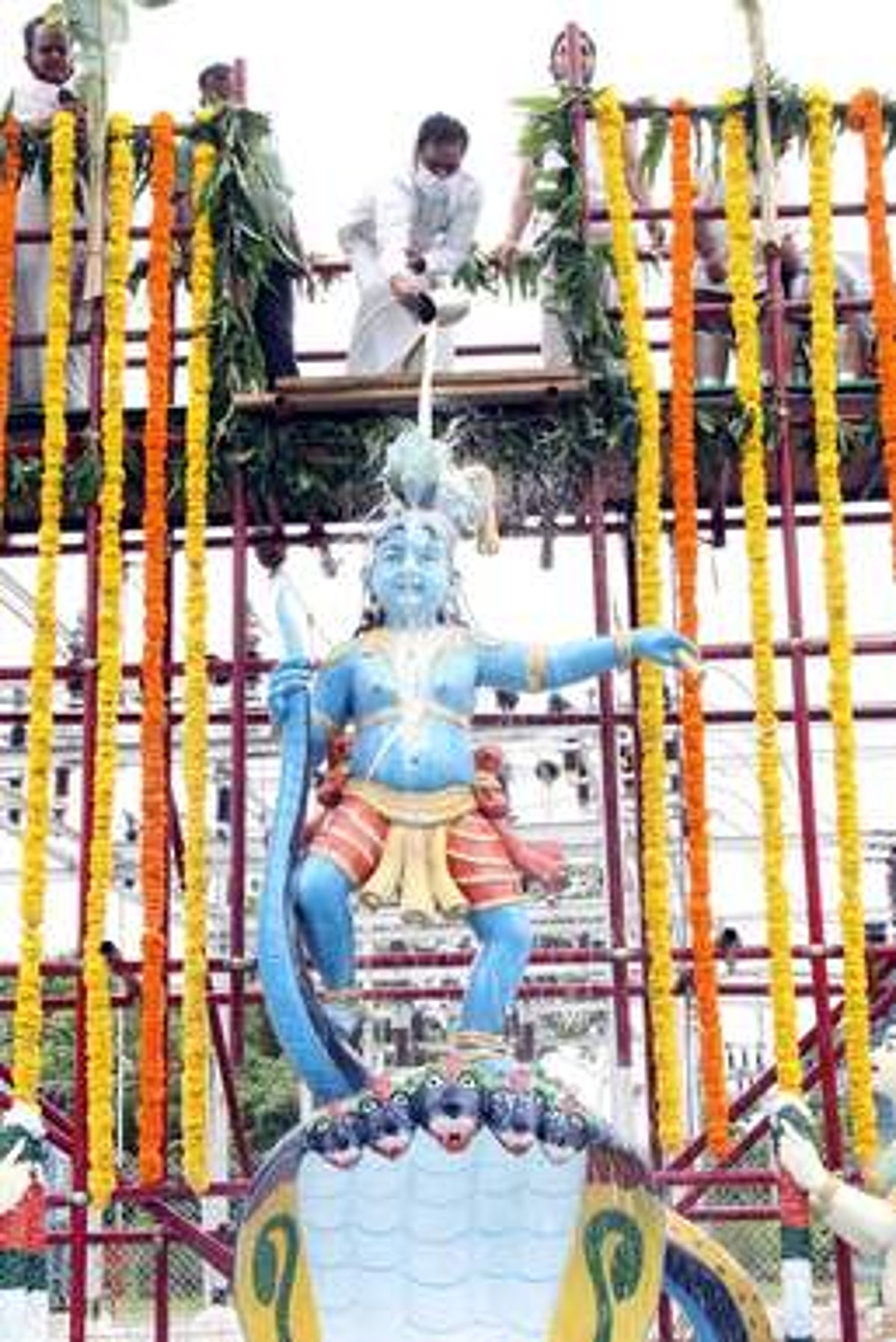 திருமலையில் கோகுலாஷ்டமி விழா: காளிங்கநா்த்தன கிருஷ்ணருக்கு அபிஷேகம்