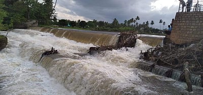 கம்பம் பள்ளத்தாக்கு நெல் சாகுபடிக்கு பெரியாறு அணையில்  திறப்பு