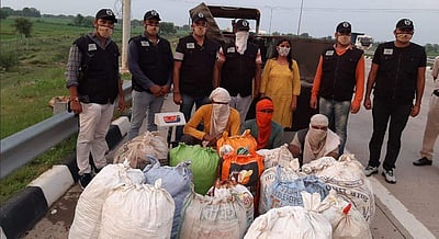 ஹரியாணாவில் 331 கிலோ கஞ்சா பறிமுதல்