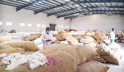 மூலனூரில் ரூ.2 கோடிக்கு பருத்தி விற்பனை 