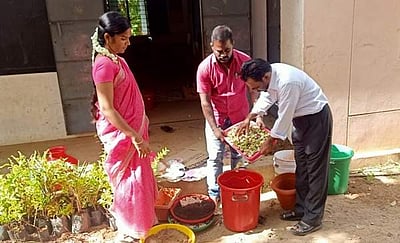 கரோனா காலத்தில் ஜோதி நகர் அரசுப் பள்ளி வளாகத்தில் தோட்டவேலை செய்த பள்ளி ஆசிரியர்கள்