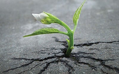 இணைய வெளியினிலே...