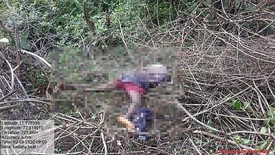 காட்டு யானை தாக்கி விவசாயி உயிரிழப்பு