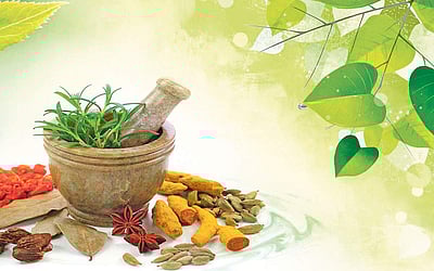 அனைத்து நோய்களுக்கும் தீர்வு