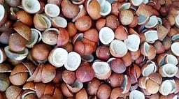 வெள்ளக்கோவிலில் ரூ.34.75 லட்சத்துக்கு தேங்காய் பருப்பு விற்பனை