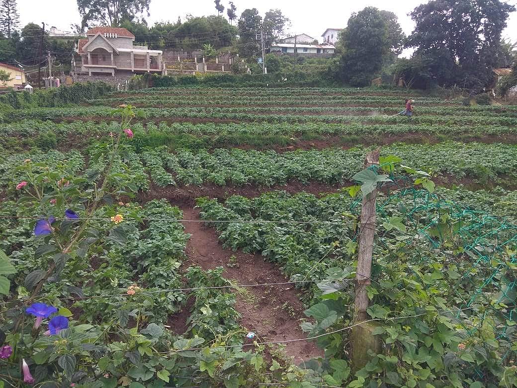 தலா 1 லட்சம் பணமதிப்பு கொண்ட 1 கோடி கிசான் அட்டைகளுக்கு அனுமதி