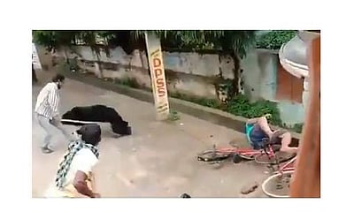 ஒடிசாவில் குடியிருப்புப் பகுதியில் புகுந்து கரடி தாக்கியதில் ஒருவர் காயம்