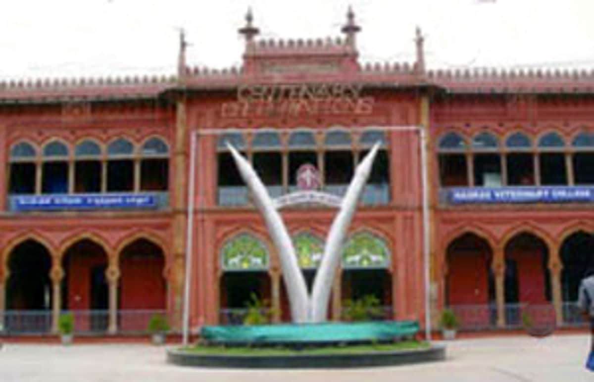 News image