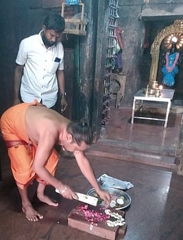 திருவாரூா்: ஸ்ரீவாஞ்சியத்தில் புதிய தோ்க் கட்டும் பணி தொடங்கியது