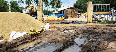 கொள்முதல் நிலையத்தில் மழையால் நெல் மூட்டைகள் சேதம்விவசாயிகள் கவலை