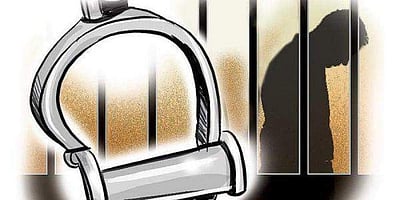 விலங்குகளைக் கொல்ல நாட்டு வெடிகுண்டு தயாரித்த 3 பேர் கைது