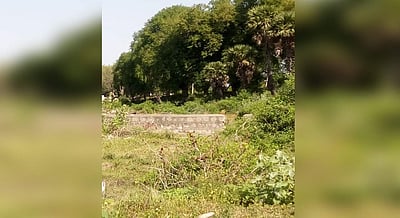 கோவிலாங்குளம் பெரியகண்மாயின் கால்வாயைத் தூர்வார வலியுறுத்தல்