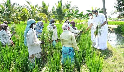 விவசாயப் பணியில் ஈடுபட்டிருந்தவர்களுடன் உரையாடிய முதல்வர் பழனிசாமி