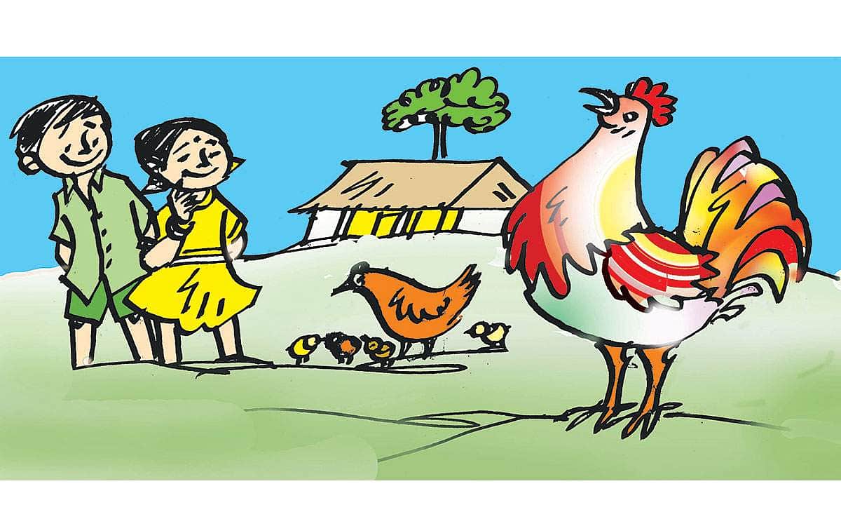 News image