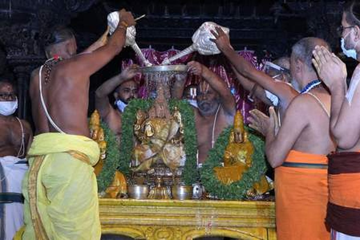 கோவிந்தராஜ சுவாமி கோயிலில் வருடாந்திர பவித்ரோற்சவம்