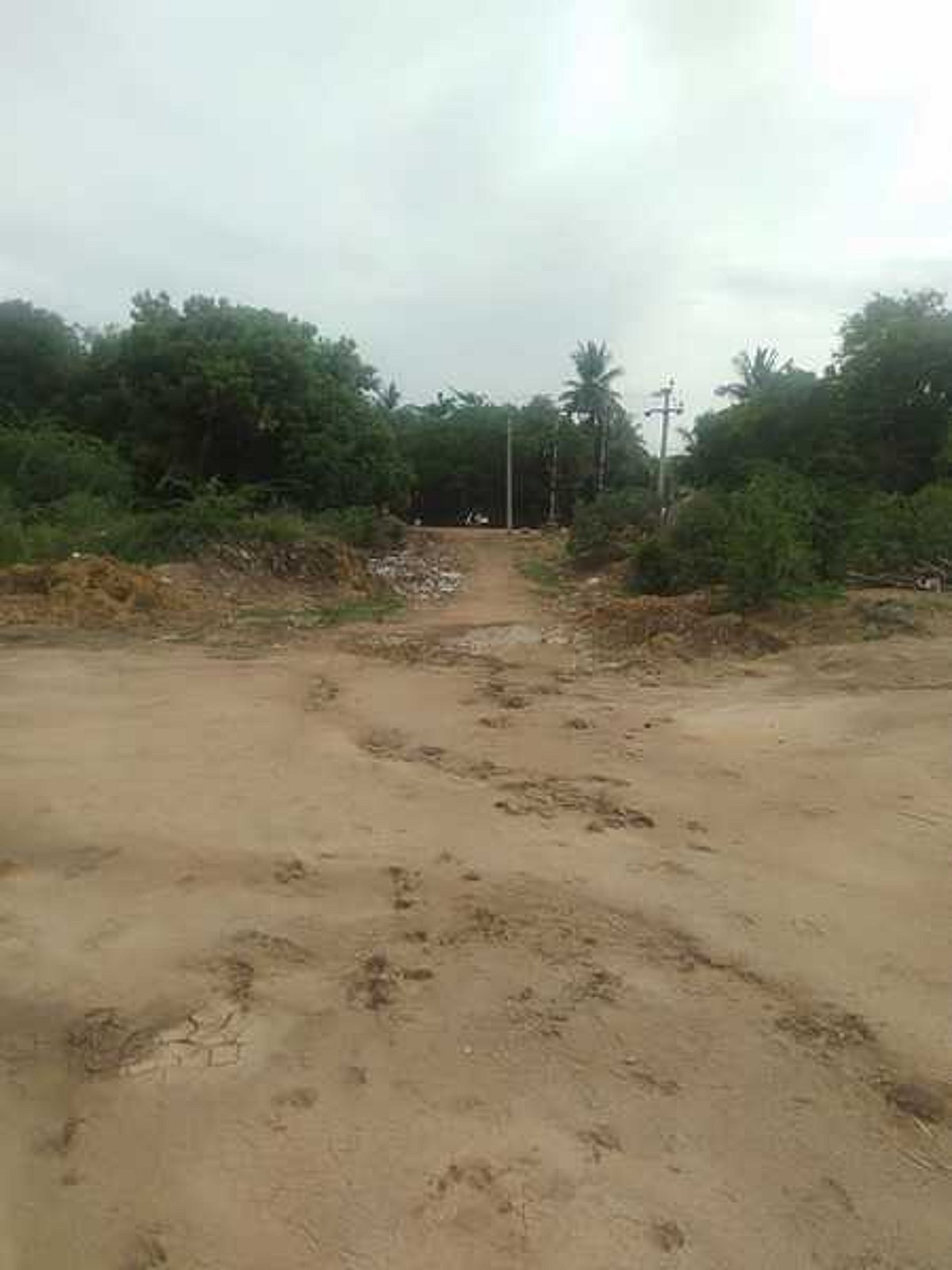 பலமிழந்த தென்பெண்ணையாற்றின் கரை!