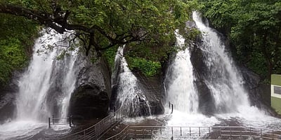 சாரல் மழை: குற்றாலம் அருவிகளில் தண்ணீர் வரத்து அதிகரிப்பு