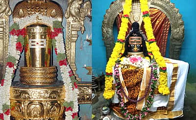 போடி சிவன் கோவில்களில் பிரதோச பூஜை: சமூக இடைவெளியுடன் பக்தா்கள் பங்கேற்பு