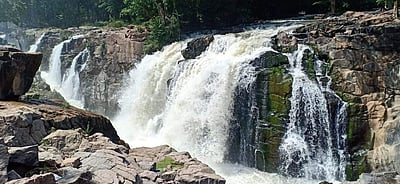 ஒகேனக்கல்லுக்கு நீர்வரத்து குறைவு